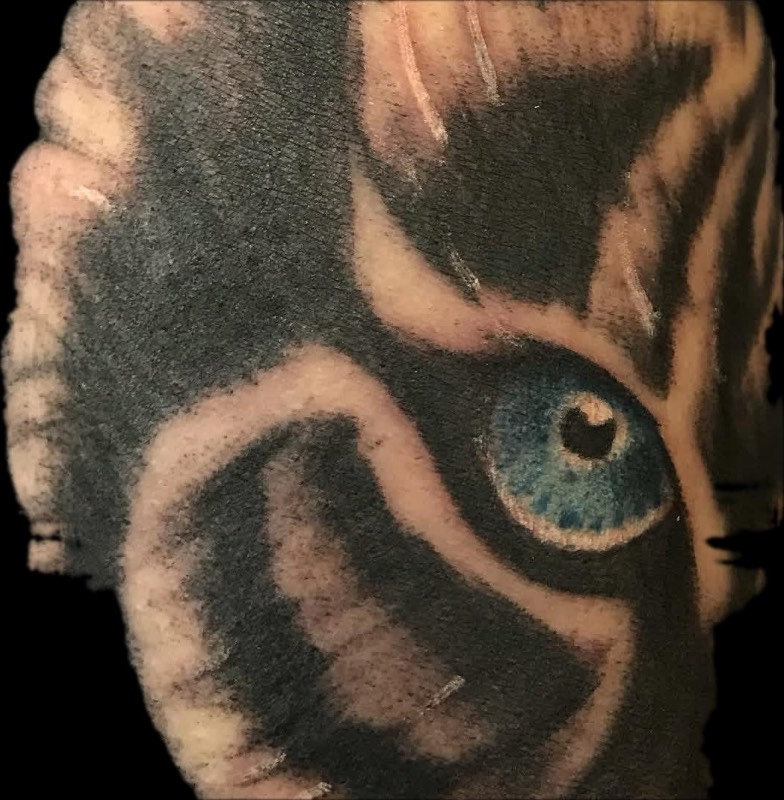 Shane tattoo work at TNT Tattoo Aiea Hawaii — piece 23